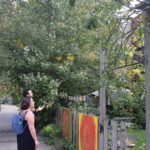 Dominic Veilleux and Agnes Menard sing Opera in an NDG alleyway.